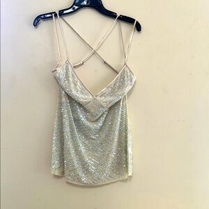 Silver with baby blue opulent Sequins Backless Camisole